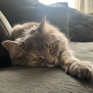 Meet your Posher, Robyn